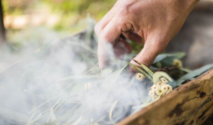 A smoking ceremony is often included in a Welcome to Country a hand moves eucalypt leaves and blossoms around in a wooden bowl as part of a smoking ceremony