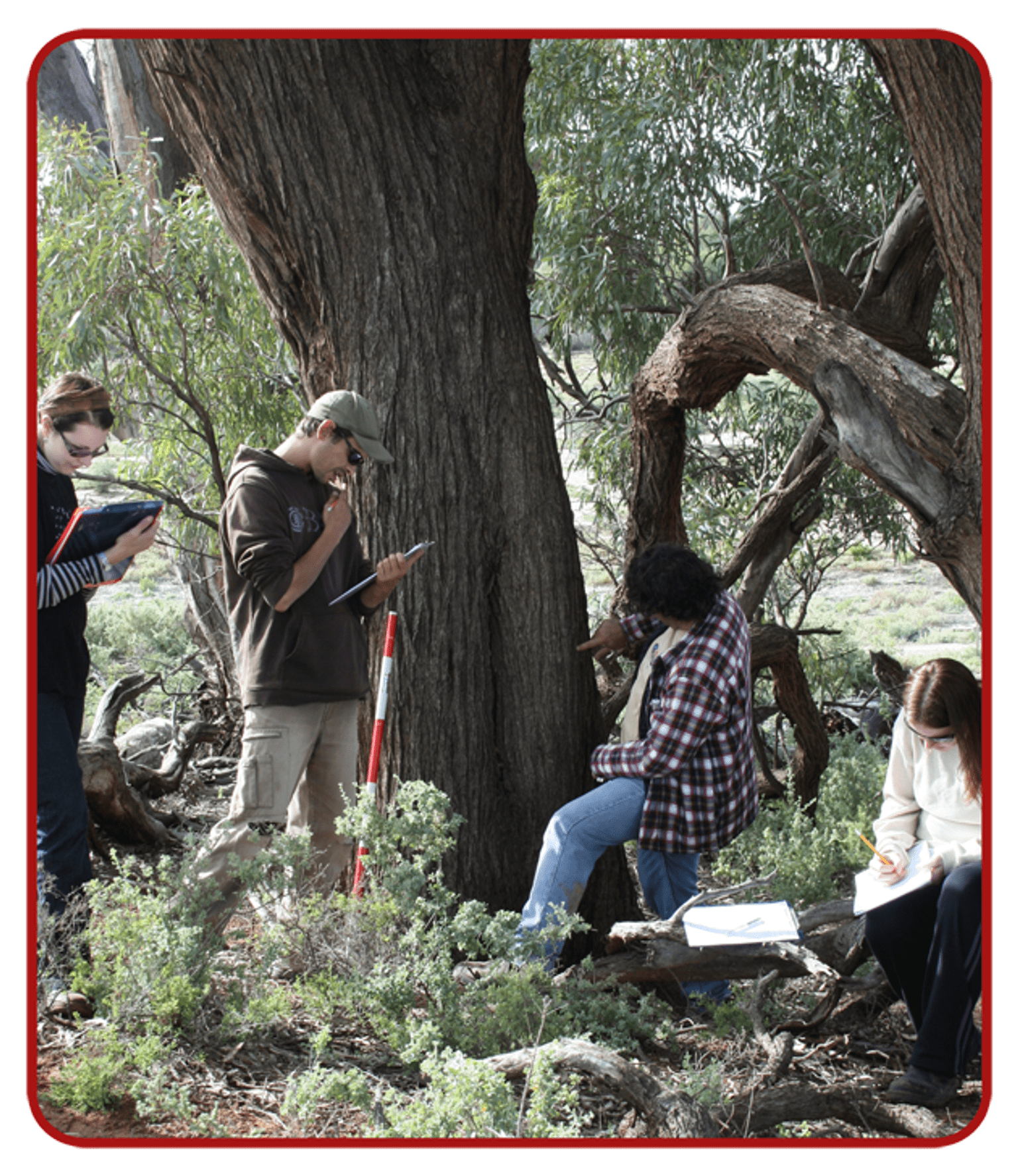 A photo showing workshop participants doing fieldwork simulations, investigating a potential scarred tree
