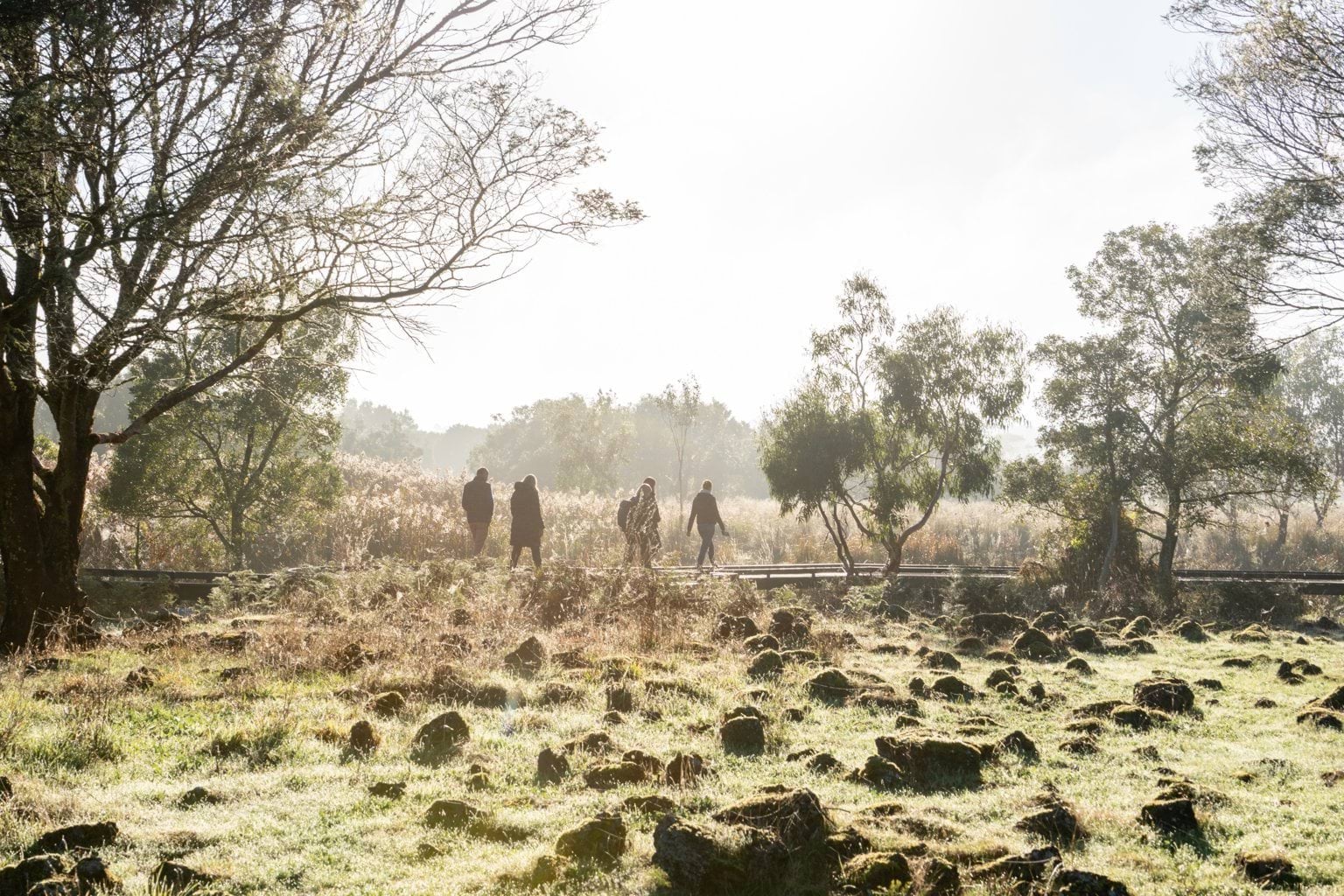 Visitors to the Budj Bim Cultural Landscape